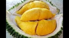 Andrew Zimmern Tapped Out To This Tropical Fruit The Notorious DURIAN In The Philippines