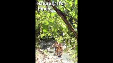 Upstream Nature Hike Lila Bohol Pt1