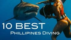 10 Best Dive Locations in the Philippines
