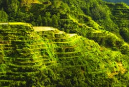 BANAUE PHILIPPINES