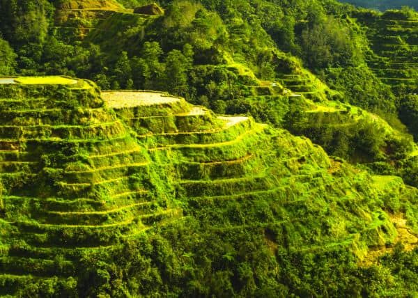 BANAUE PHILIPPINES