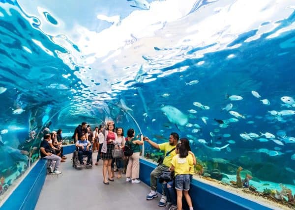 Ocean Park Cebu Discount