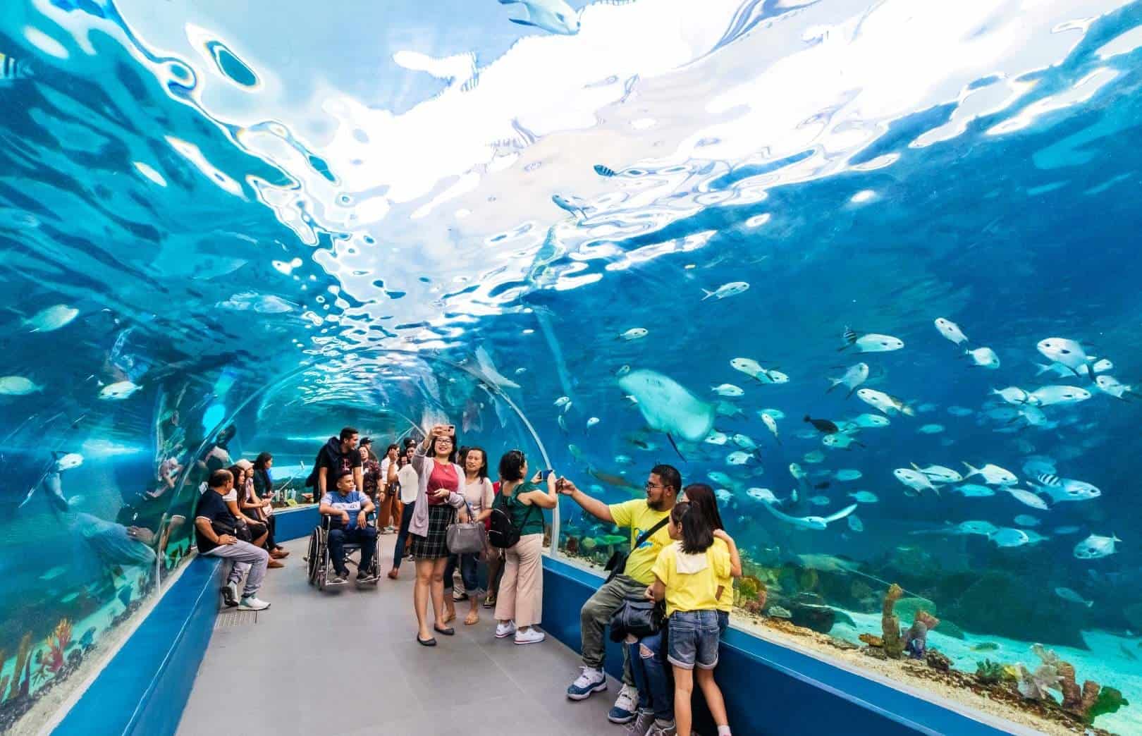 Ocean Park Cebu Discount