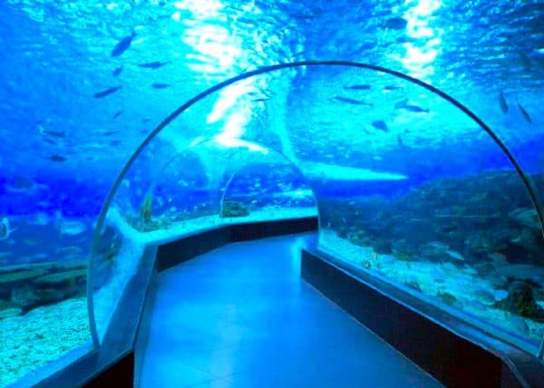 Manila Ocean Park Tour
