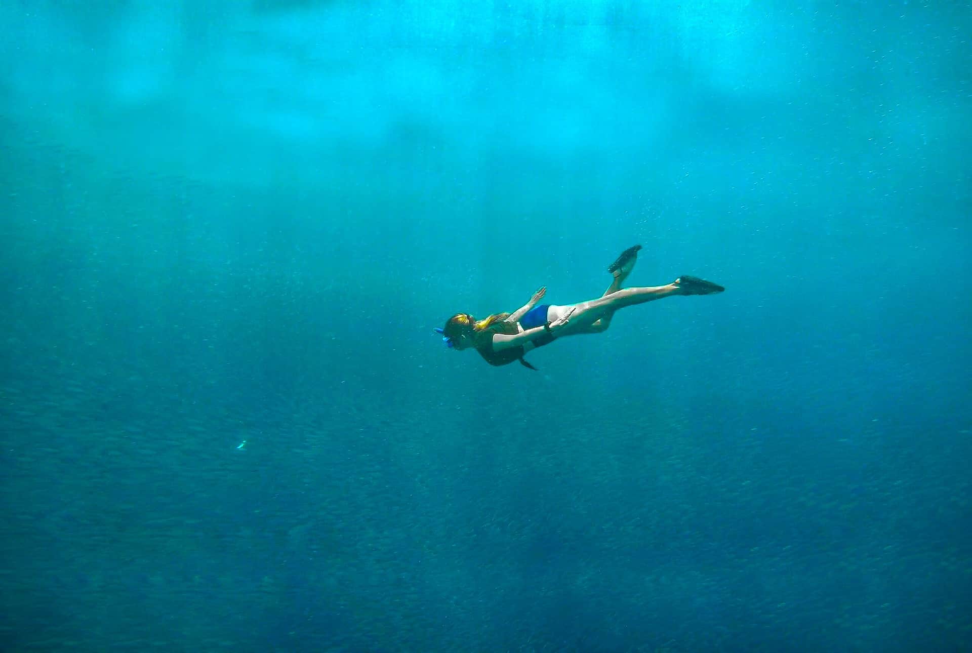 Mindoro Diving