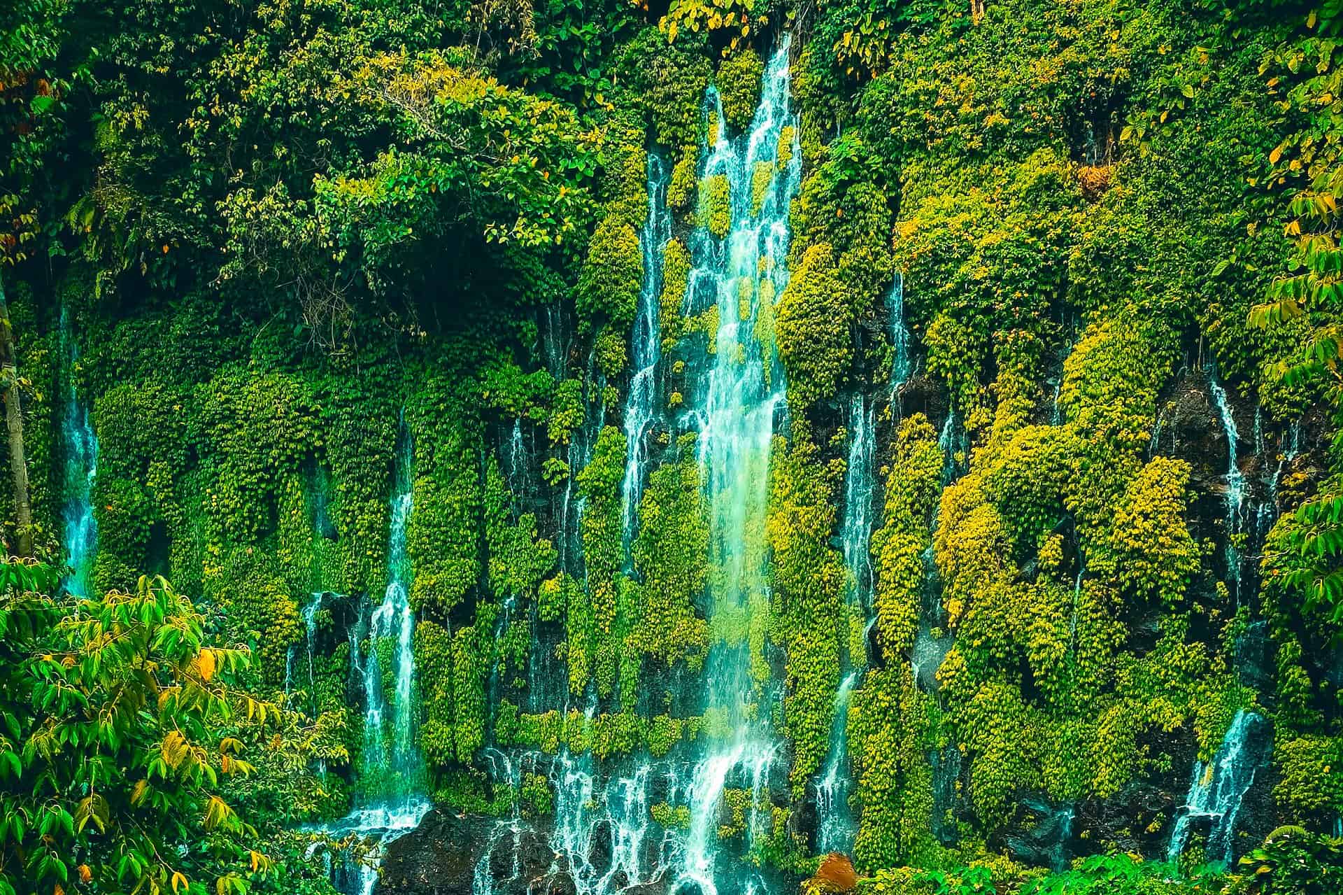 Negros Oriental Waterfall