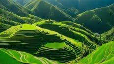 Bangaan Rice Terraces, Ifugao