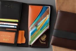 Best Travel Passport holder