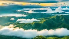 Danao Sea of Clouds, bohol philippines