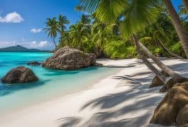 Moalboal Beach, cebu philippines