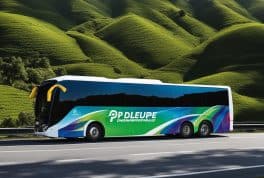 P2P Bus Ticket between Manila and Sagada DeluxeSuper Deluxe