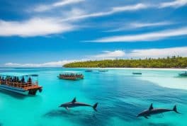 Panglao Island Hopping and Dolphin Watching Tour in Bohol