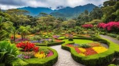 Terrazas de Flores Botanical Garden, cebu philippines