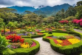 Terrazas de Flores Botanical Garden, cebu philippines