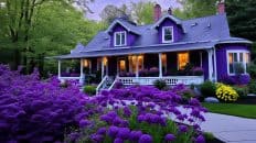 The Purple Tree Bed and Breakfast