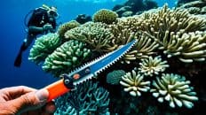 divers knife