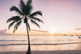 panglao, philippines