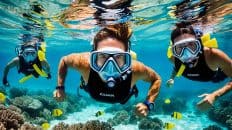 snorkeling gear for adults