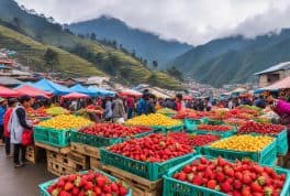 strawberry festival in la trinidad benguet