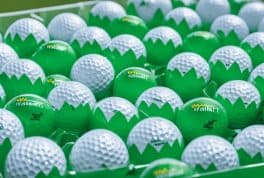 walmart golf balls