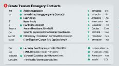 Best Travel Emergency Contacts List