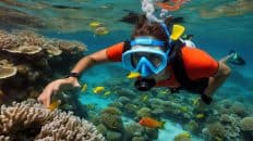 Best Travel Face Mask for Snorkeling