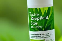 Best Travel Insect Repellent