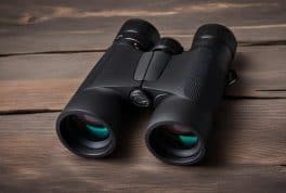 Best Travel Premium Binoculars