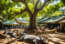 Calbayog Zoo, samar philippines