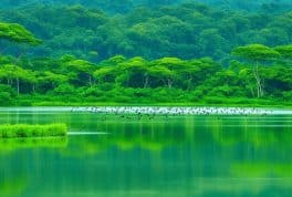 Candaba Bird Sanctuary, Pampanga