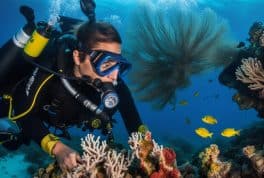 Enriched Air Diver Elearn in Moalboal with PADI 5 Star Dive Center