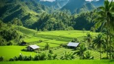 Farming In The Philippines