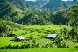 Farming In The Philippines