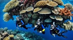Half-Day Dive Trip to Napaling with PADI 5 Star IDC
