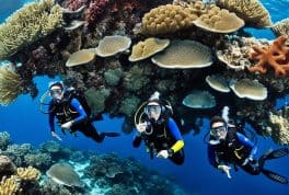 Half-Day Dive Trip to Napaling with PADI 5 Star IDC