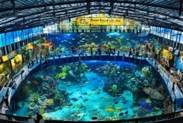 Manila Ocean Park