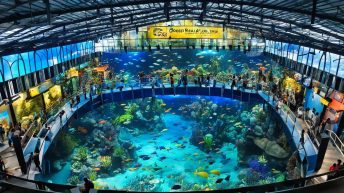 Manila Ocean Park