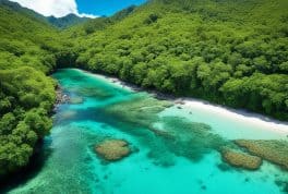 Marinduque Wildlife Sanctuary, Marinduque