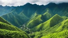 Mount Santo Tomas, Benguet