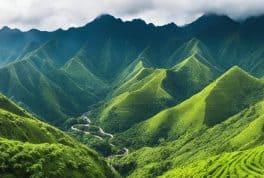 Mount Santo Tomas, Benguet