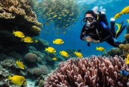 PADI AOW Diver in Cebu with PADI 5 Star Dive Resort