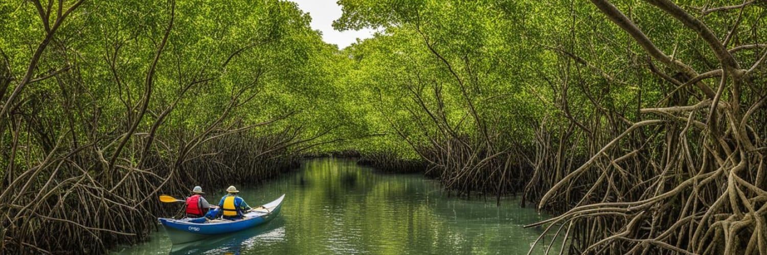 Pawa Mangrove Eco Park, Masbate