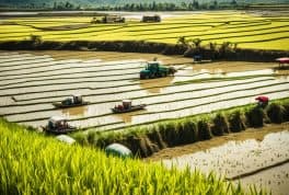 Agricultural Problems In The Philippines