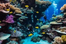 Aquarium Reef, Palawan Philippines