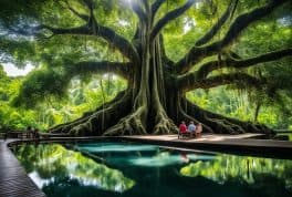 Balete Tree and Fish Spa, Siquijor Philippines