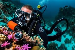 Best Travel Octopus Regulator