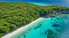 Cowrie Island, Palawan Philippines