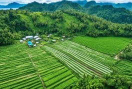 Guimaras Wonder's Farm, Guimaras