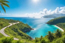 Palm Road & Viewpoint, Siargao Philippines