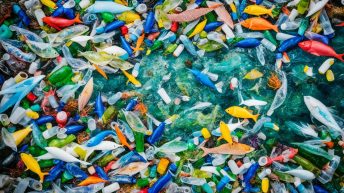 Plastic Pollution In The Philippines